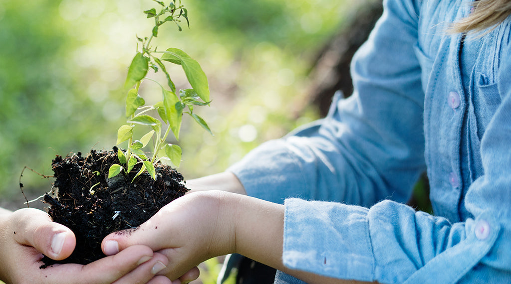 Why Environmental Health Matters?