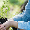 Why Environmental Health Matters?